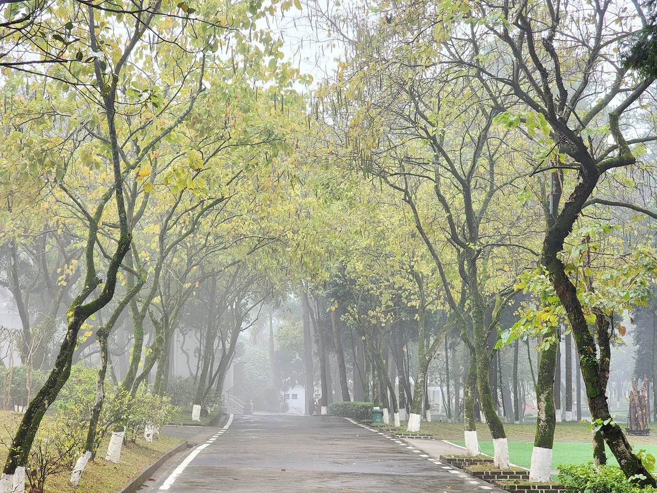 Điểm săn sương rất chill và kỳ thú ở ngoại thành Hà Nội