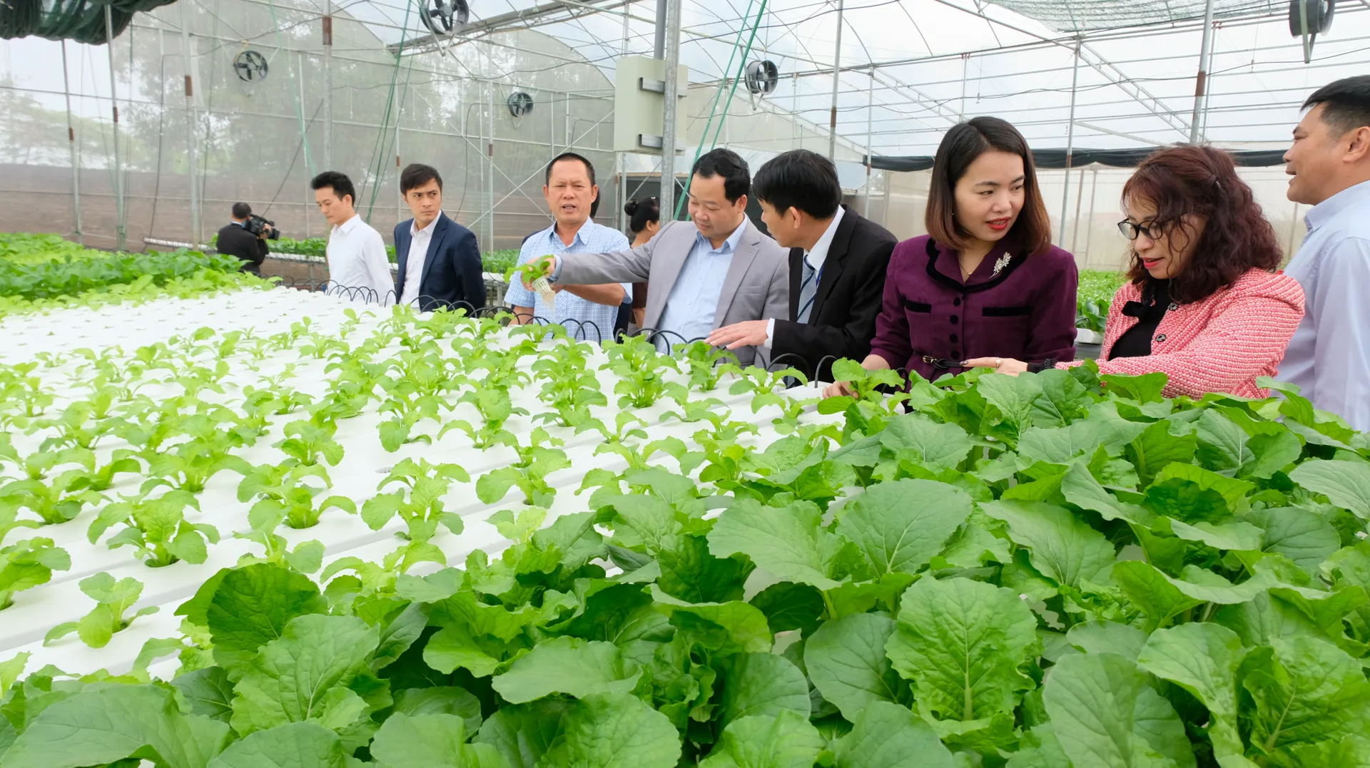 Huyện Sóc Sơn: Sát cánh cùng nông dân sản xuất, kinh doanh giỏi