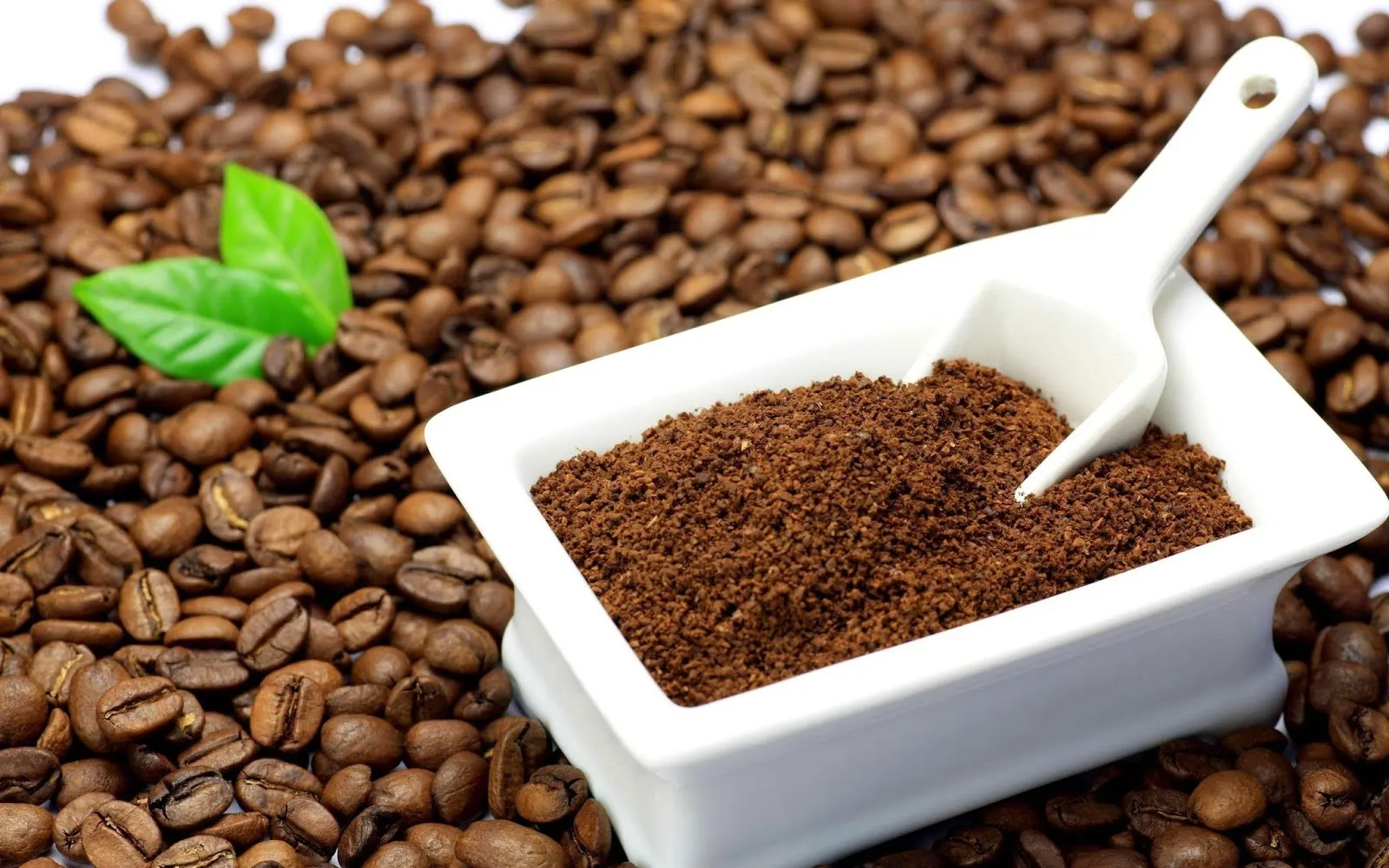 Giá cà phê hôm nay 11/1: 2 nguyên nhân đẩy cà phê tăng gần 71.000 đồng/kg