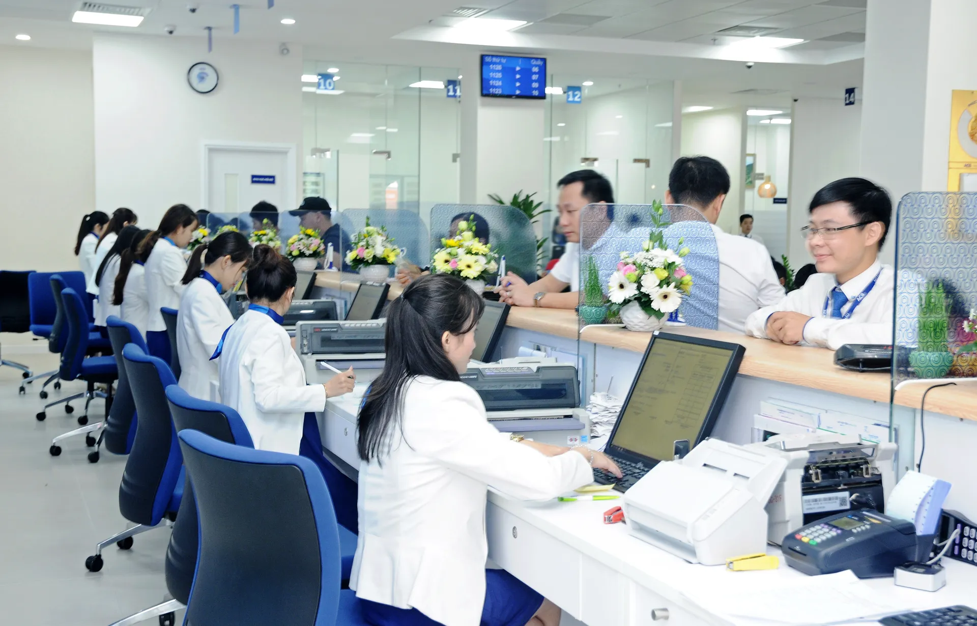 Mùa công bố báo cáo tài chính - những gam màu sáng