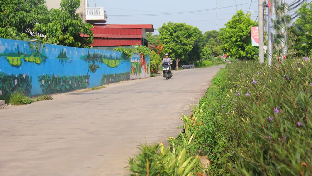 Thêm nhiều xã nông thôn mới kiểu mẫu