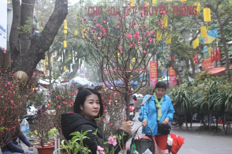 Dự báo thời tiết ngày 5/2/2024: Hà Nội sương mù, mưa, đêm và sáng trời rét