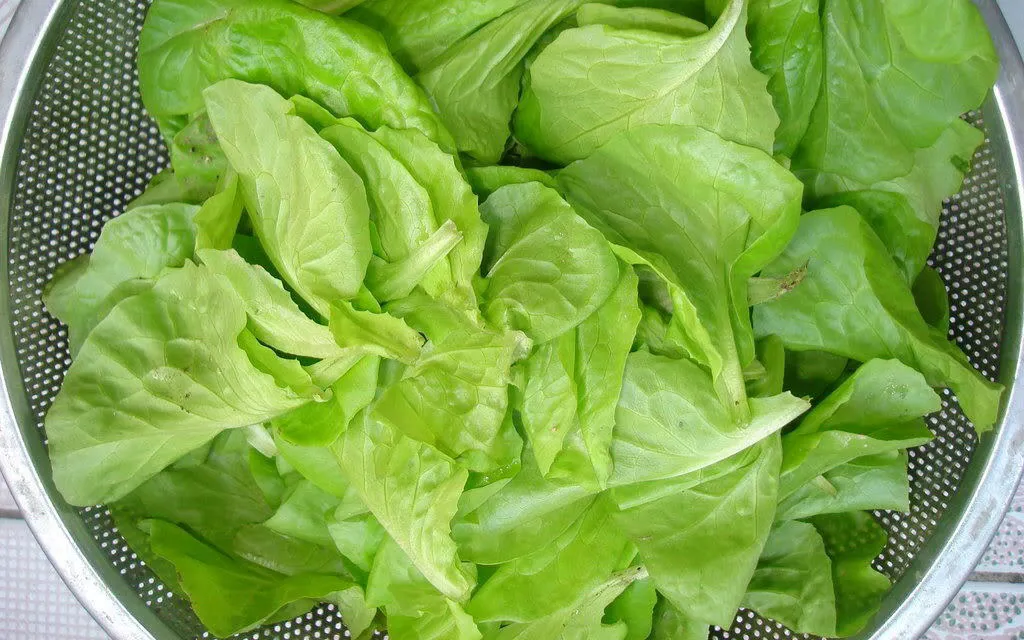 Ăn rau xà lách tốt nhưng đại kỵ với 6 người này