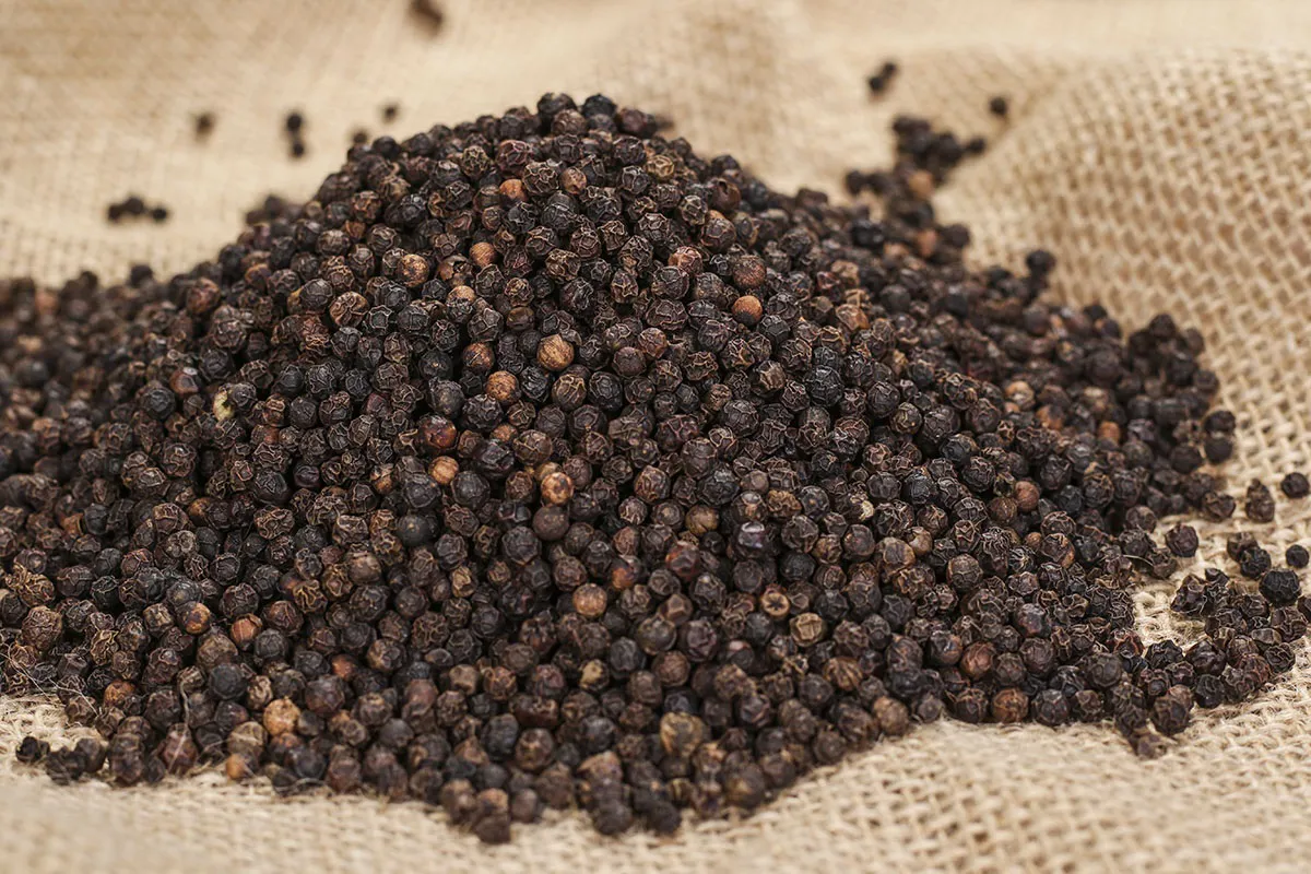 Giá tiêu hôm nay 16/2: Tăng 4 ngày liền, Bình Phước tiếp tục thêm 500 đồng/kg