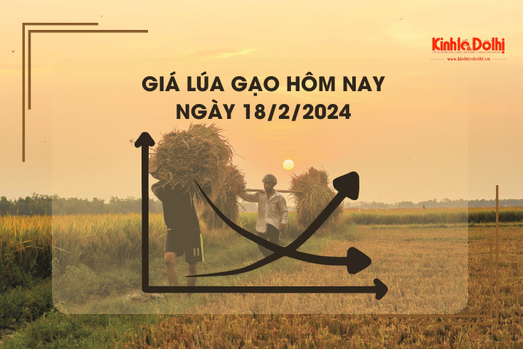 Giá lúa gạo hôm nay 18/2/2024: Giá lúa chững, giá gạo giảm