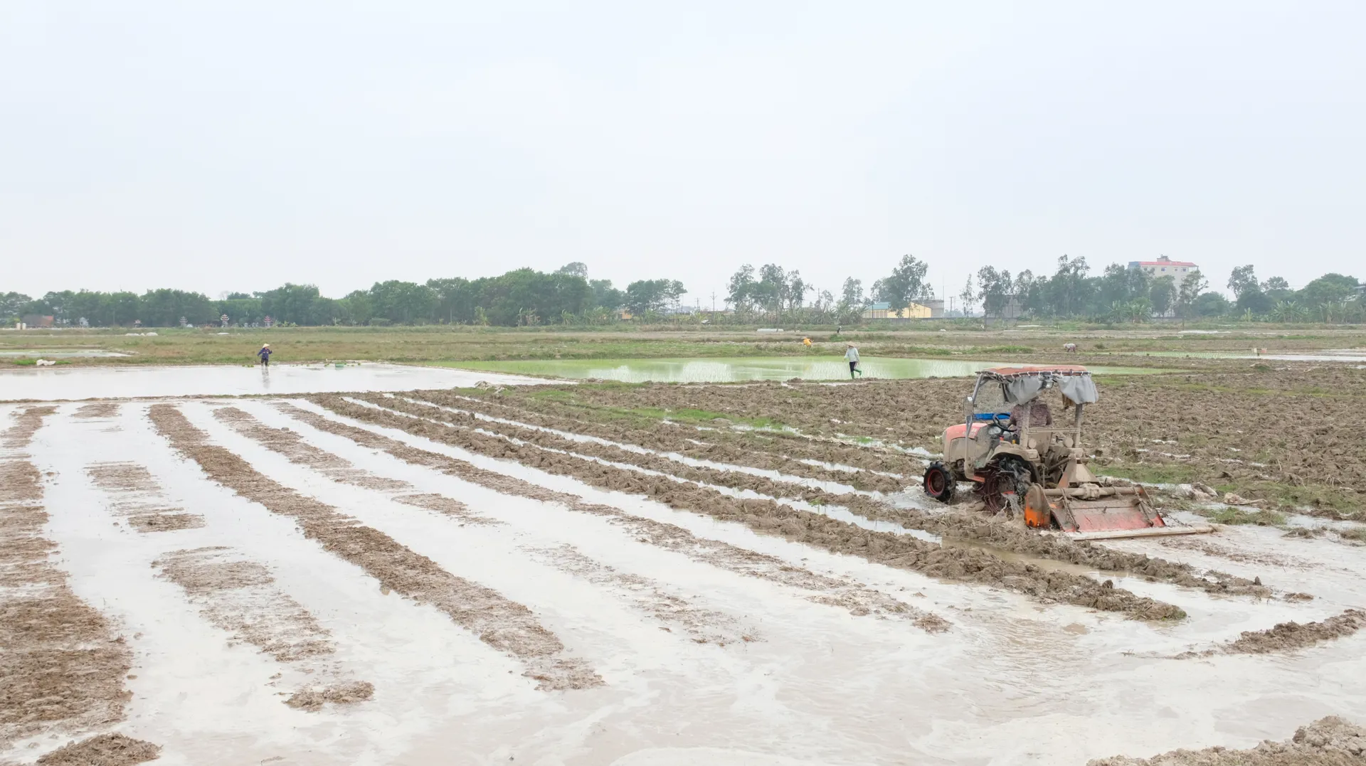 Sóc Sơn thu hồi hơn 800ha đất nông nghiệp phục vụ các dự án phát triển