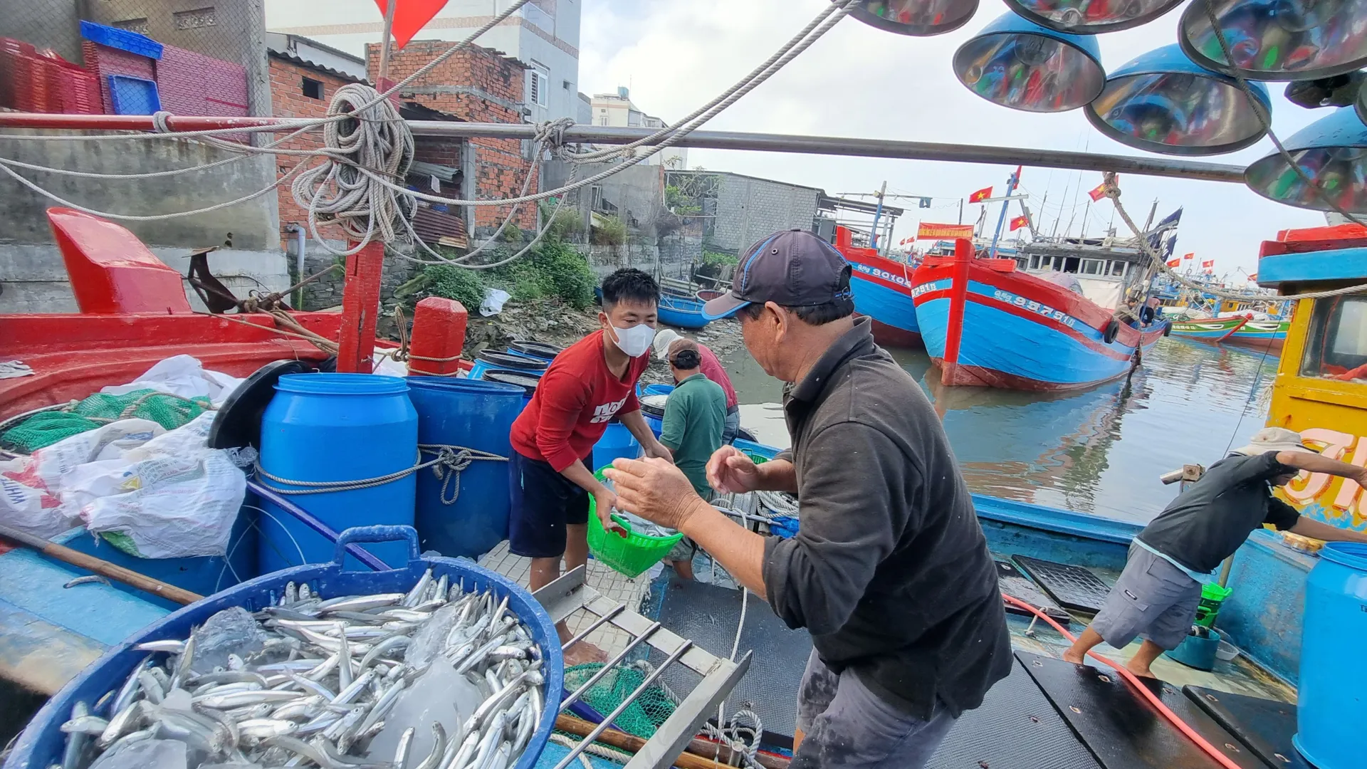 Một đêm ra khơi, ngư dân "bỏ túi" từ vài chục triệu đến trăm triệu đồng