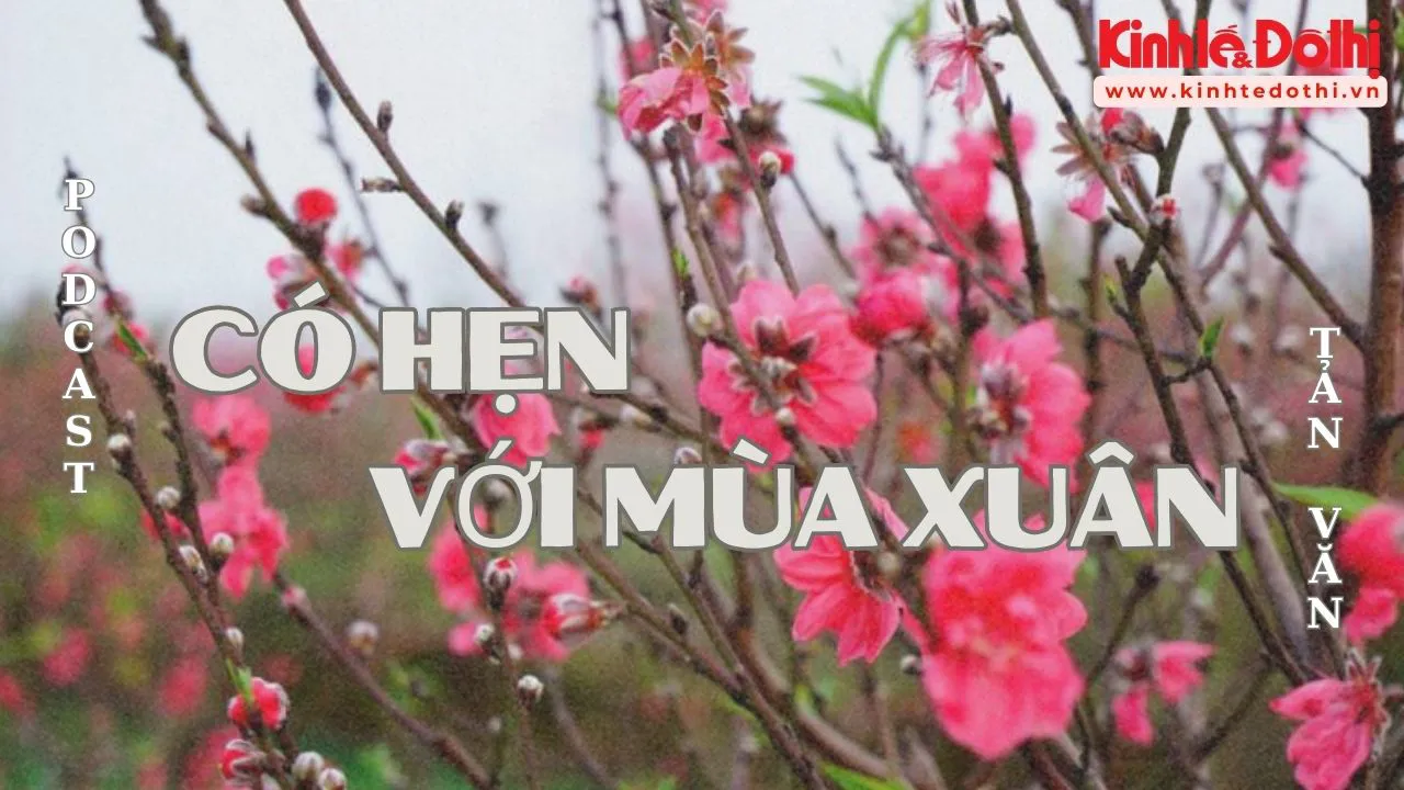 Podcast Tản văn: Có hẹn với mùa Xuân