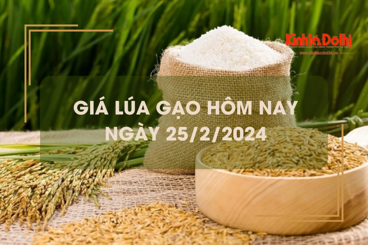 Giá lúa gạo hôm nay 26/2/2024: Duy trì ổn định