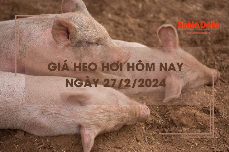 Giá heo hơi hôm nay 27/2/2024: Miền Nam tăng 1.000 - 2.000 đồng/kg
