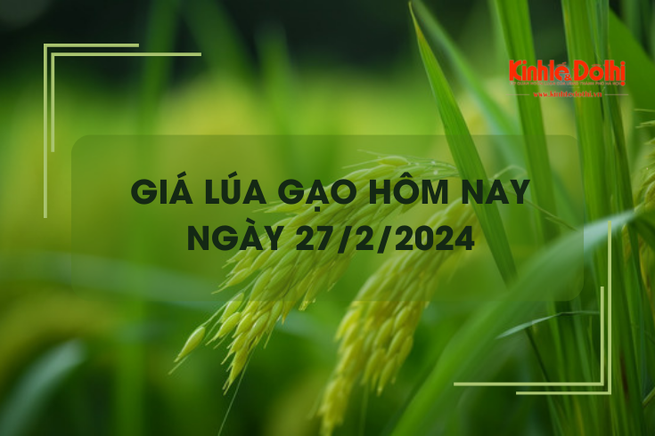 Giá lúa gạo hôm nay 27/2/2024: Gạo nguyên liệu xuất khẩu tăng nhẹ