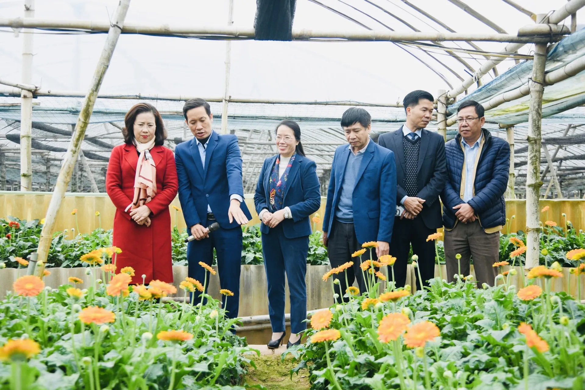Năm 2024, Hội Nông dân Hà Nội phấn đấu trồng 30.000 cây xanh