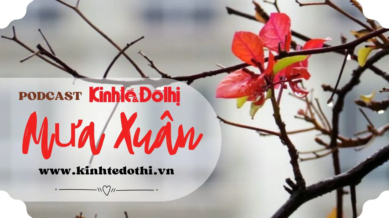 Podcast Tản văn: Mưa Xuân