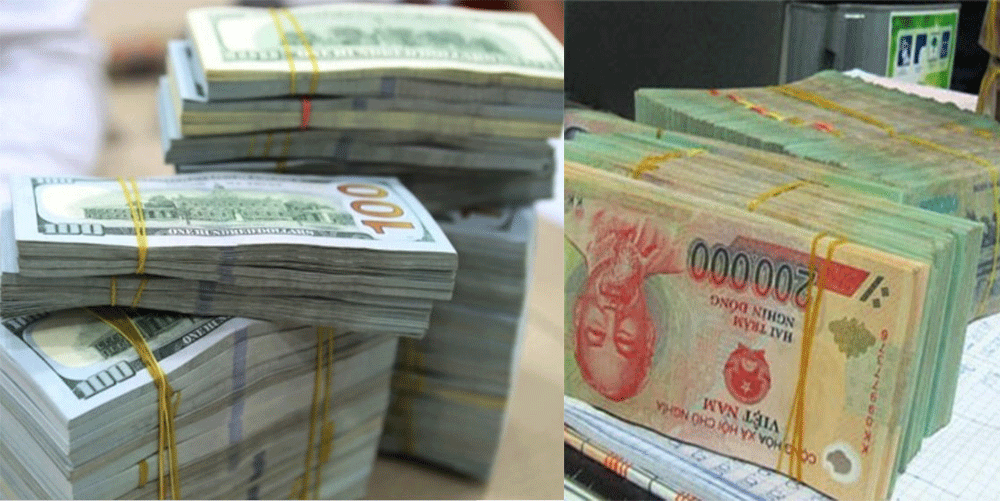 Tỷ giá USD hôm nay 8/3: Tiếp tục lao dốc trên thị trường