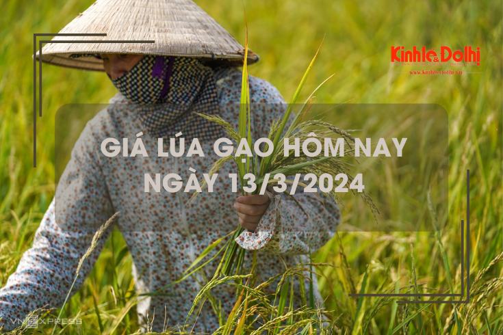 Giá lúa gạo hôm nay 13/3/2024: Giá gạo biến động trái chiều