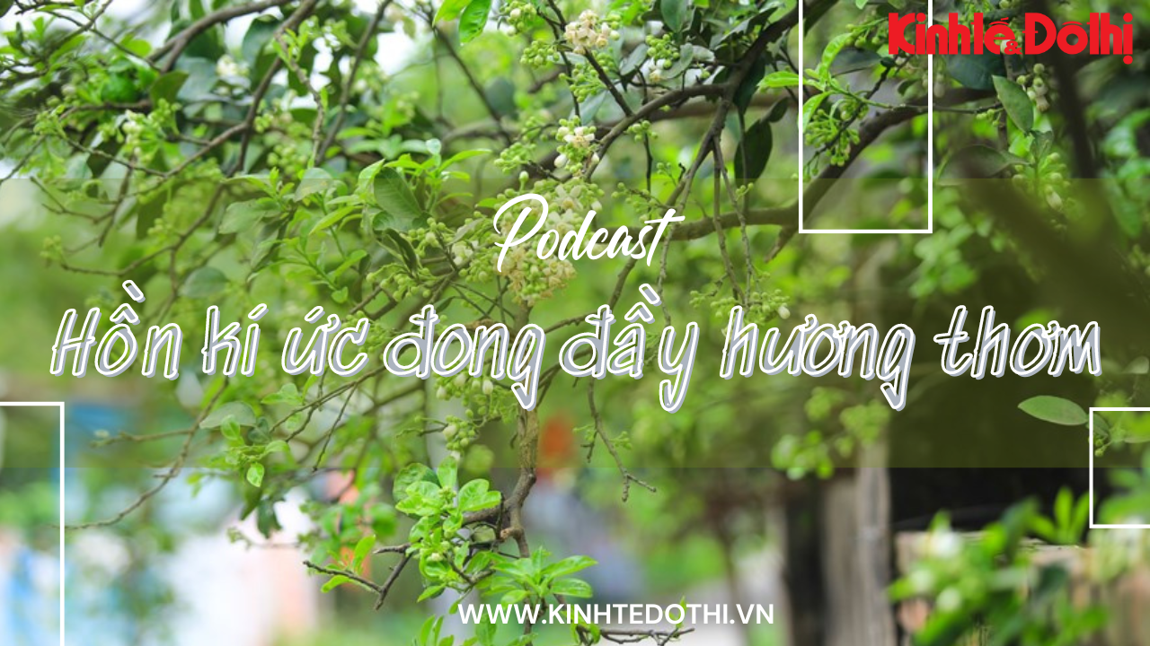 Podcast Tản văn: Hồn kí ức đong đầy hương thơm