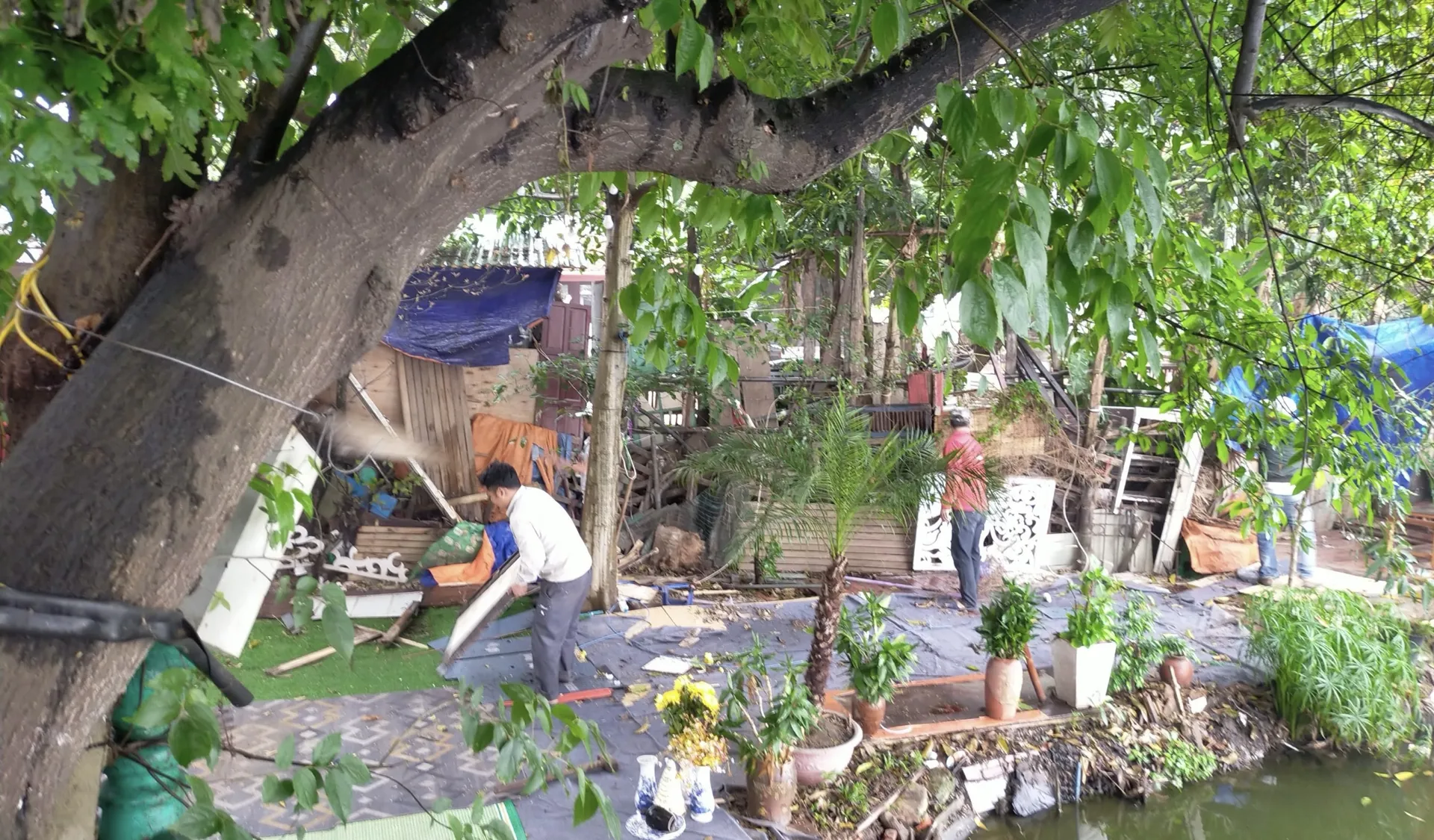 Yên Phụ xử lý trật tự đô thị trên phố Yên Hoa, Vũ Miên