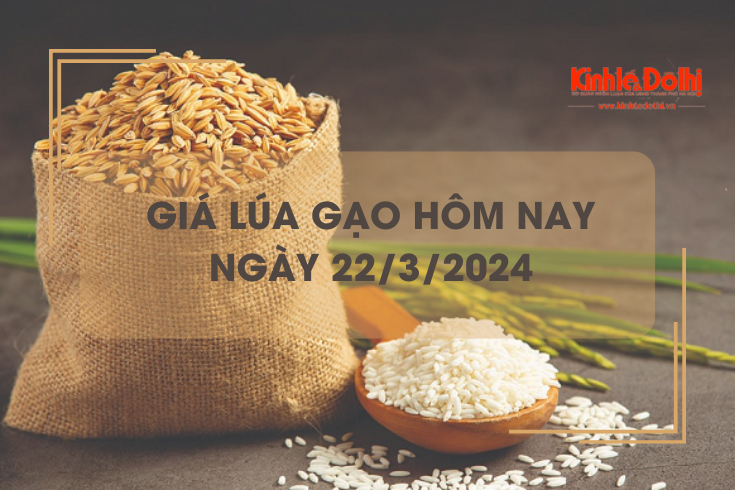 Giá lúa gạo hôm nay 22/3/2024: Giá gạo tiếp tục giảm nhẹ