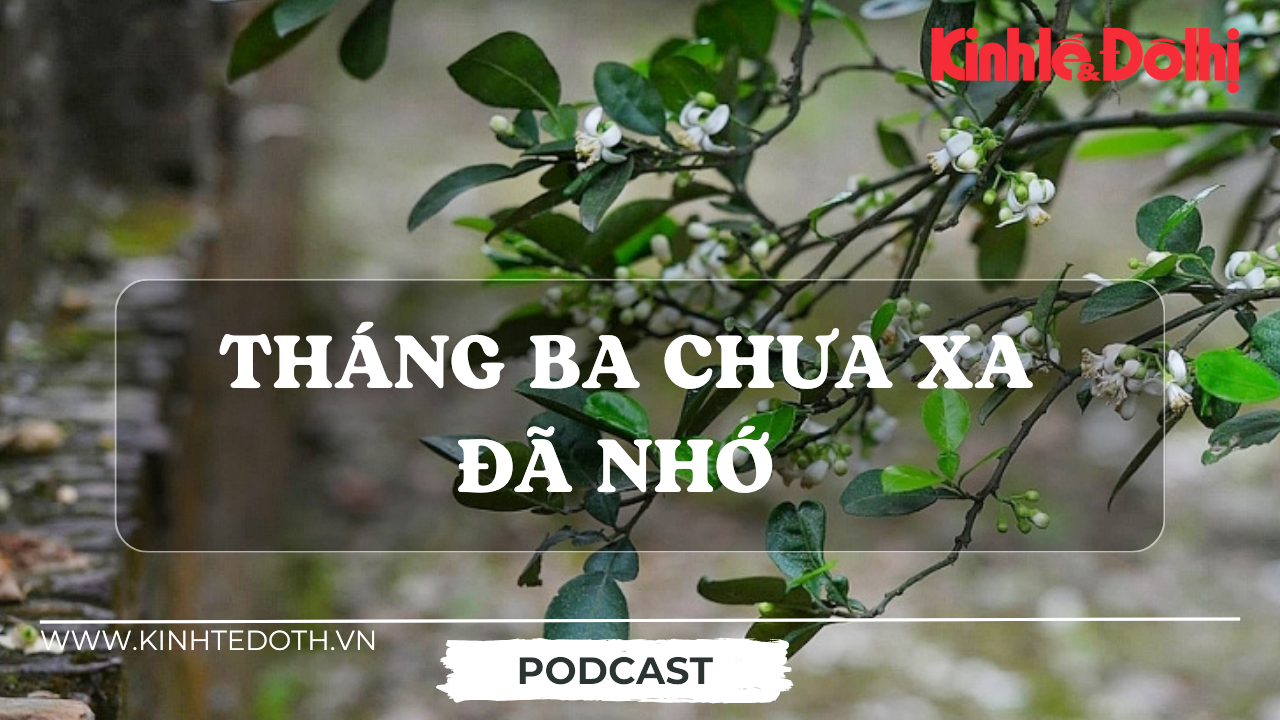 Podcast Tản văn: Tháng Ba chưa xa đã nhớ