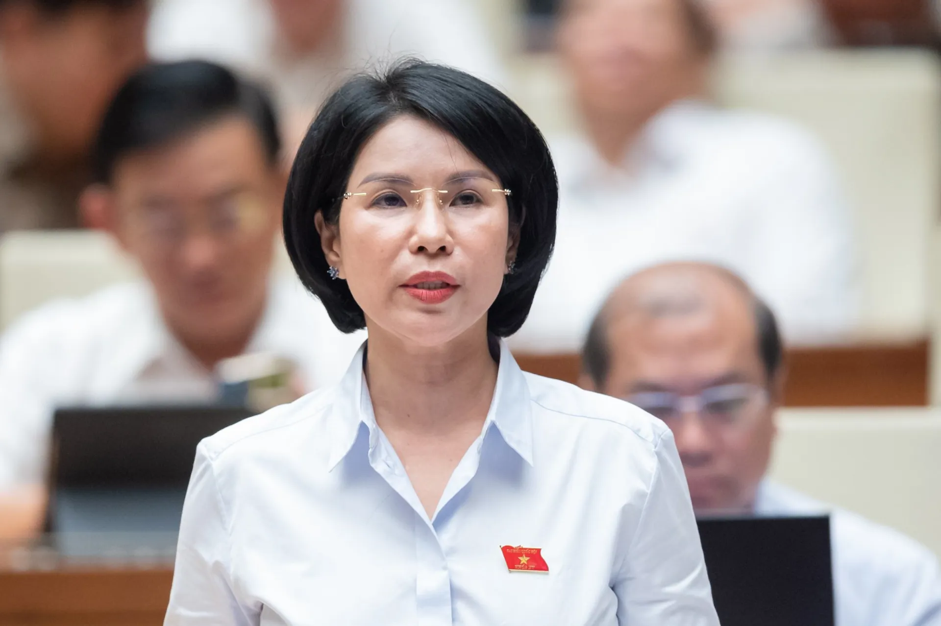 Bổ nhiệm bà Trần Thị Nhị Hà làm Phó Trưởng Ban Dân nguyện Quốc hội
