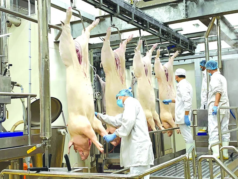 Ngành chăn nuôi vẫn khó chồng khó