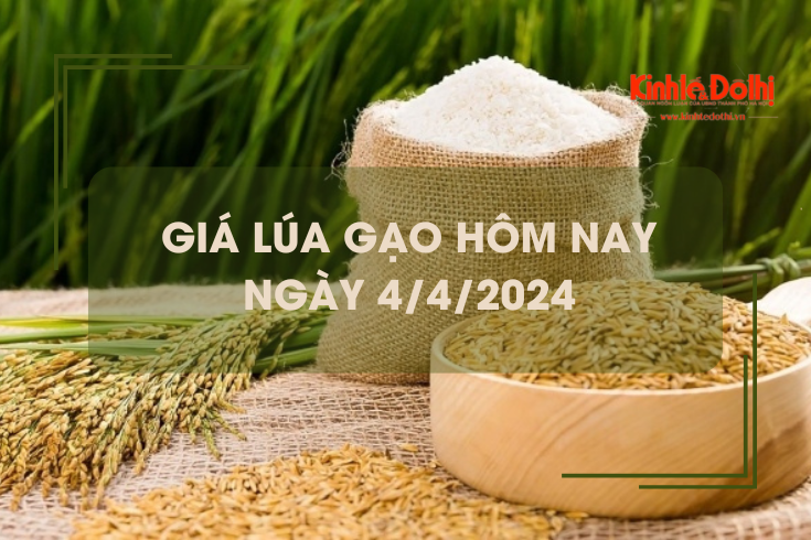 Giá lúa gạo hôm nay 4/4/2024: giá gạo tăng, giá lúa giảm