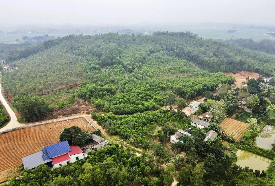 Thanh Hóa: dừng đấu giá mỏ đất núi Ngọc