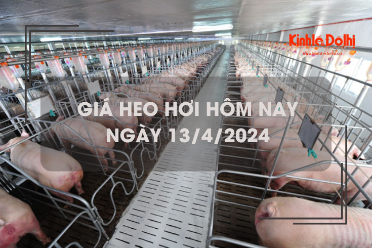 Giá heo hơi hôm nay 13/4/2024: tăng rải rác một vài địa phương