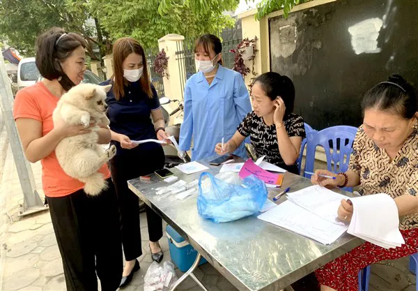Huyện Gia Lâm tích cực triển khai tiêm phòng cho đàn gia súc, gia cầm