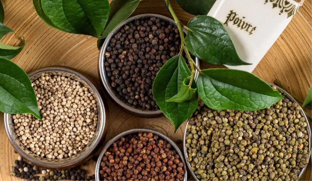 Giá tiêu hôm nay 17/4: tăng ngày thứ 2 liên tiếp, Bà Rịa thêm 1.500 đồng/kg