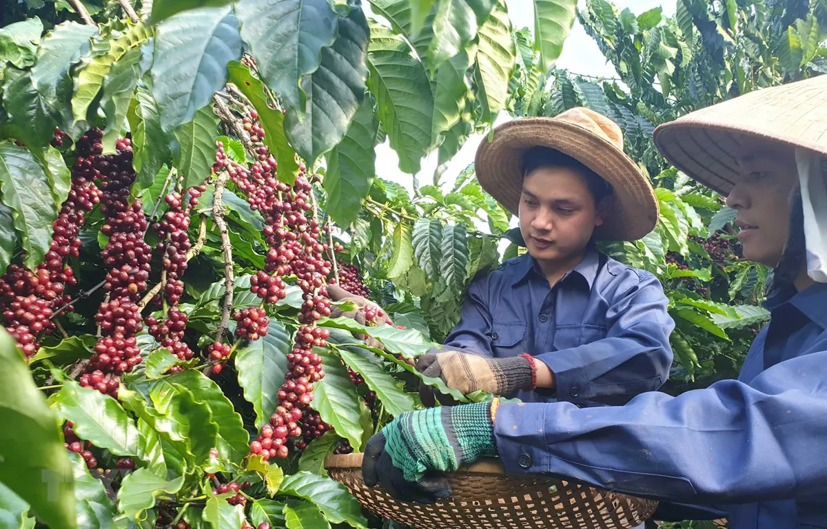 Áp lực bảo vệ thương hiệu Việt