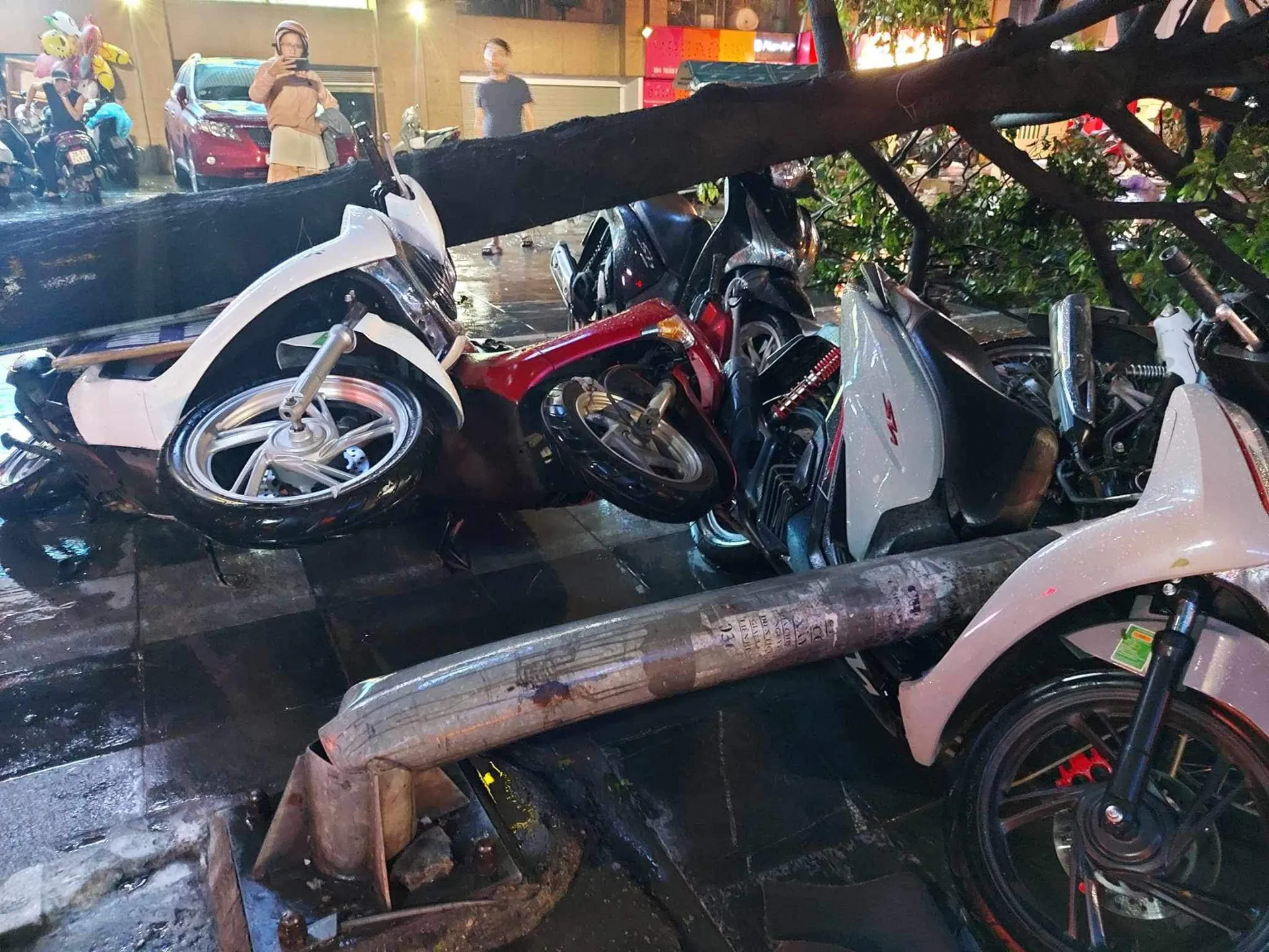 Hà Nội: Nhiều cây xanh bị đổ gãy do mưa giông