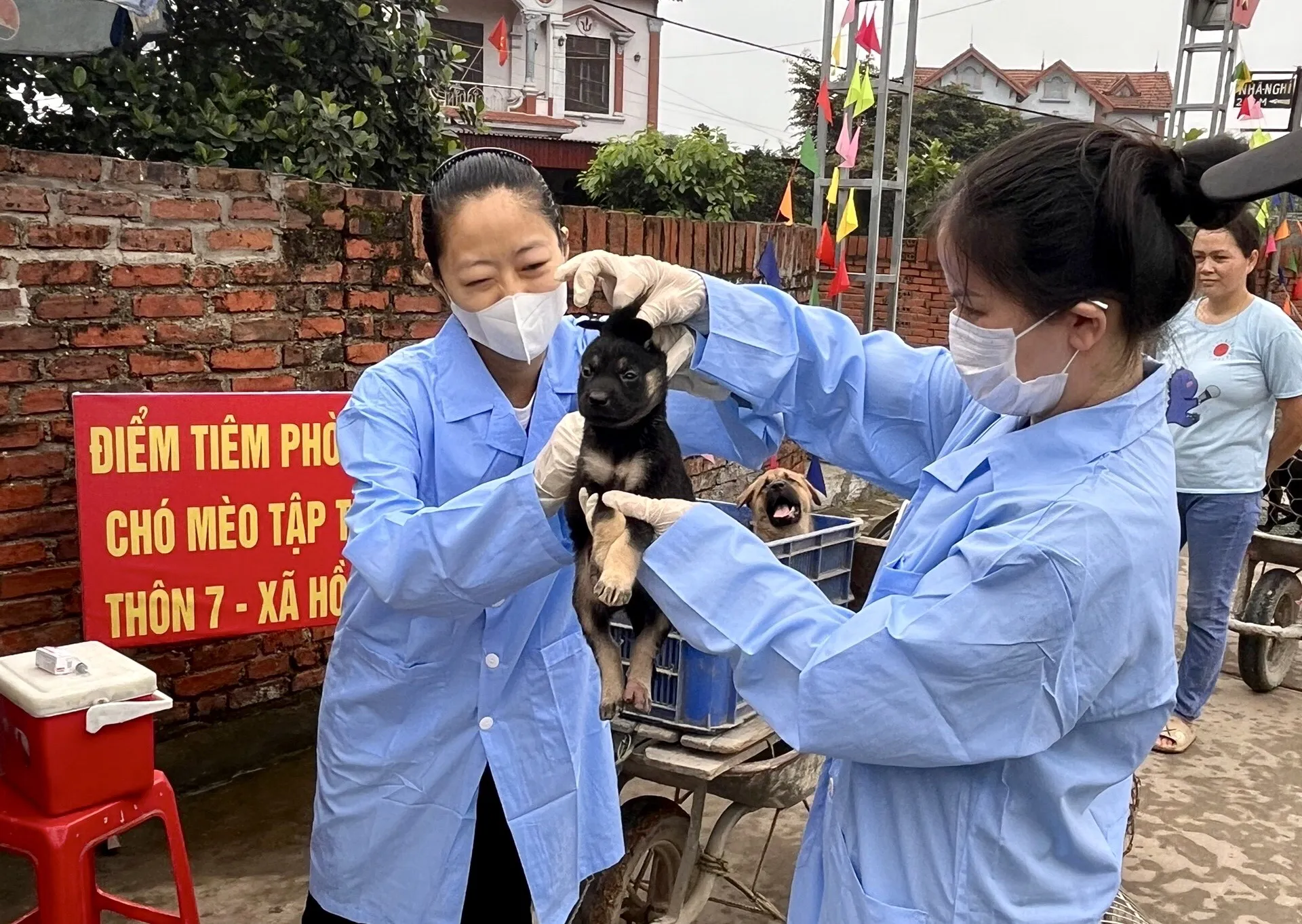 Huyện Sóc Sơn đã khống chế ổ dịch bệnh dại thứ 3 từ đầu năm 2024