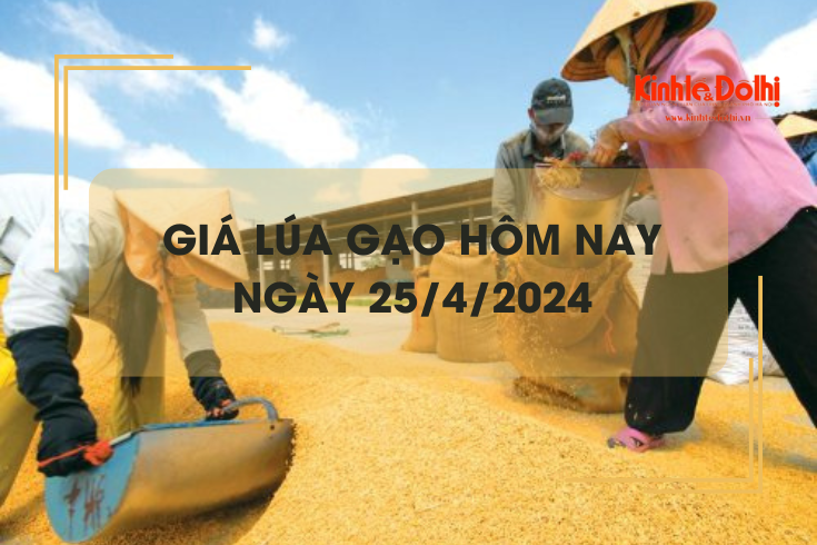 Giá lúa gạo hôm nay 25/4/2024: giá gạo tiếp tục tăng nhẹ