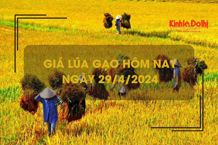 Giá lúa gạo hôm nay 29/4/2024: giá gạo xuất khẩu tăng nhẹ