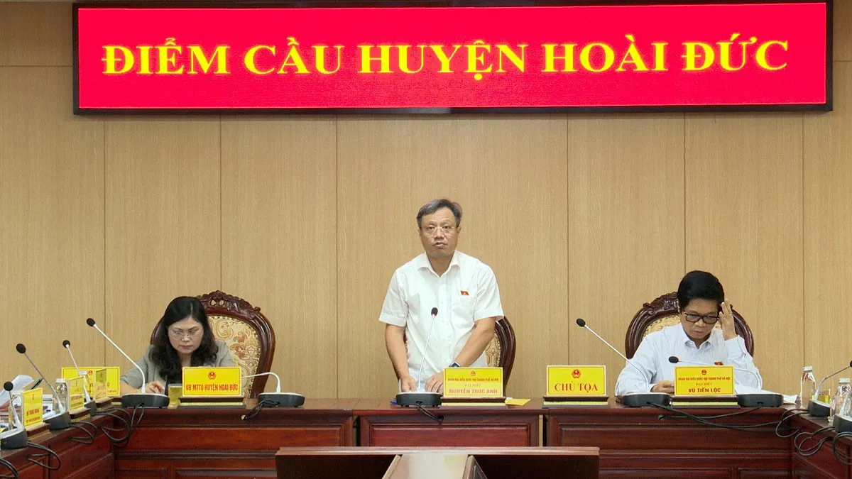 Quy hoạch phân lũ sông Đáy, cải cách tiền lương được cử tri quan tâm