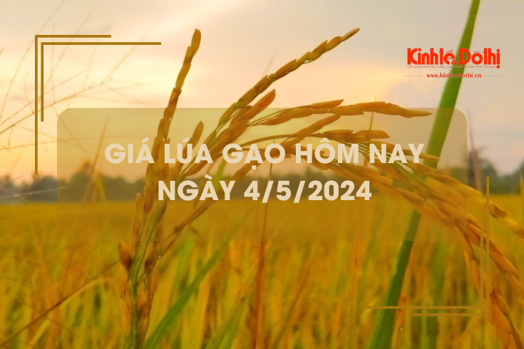 Giá lúa gạo hôm nay 4/5/2024: giá lúa tăng, giá gạo giảm
