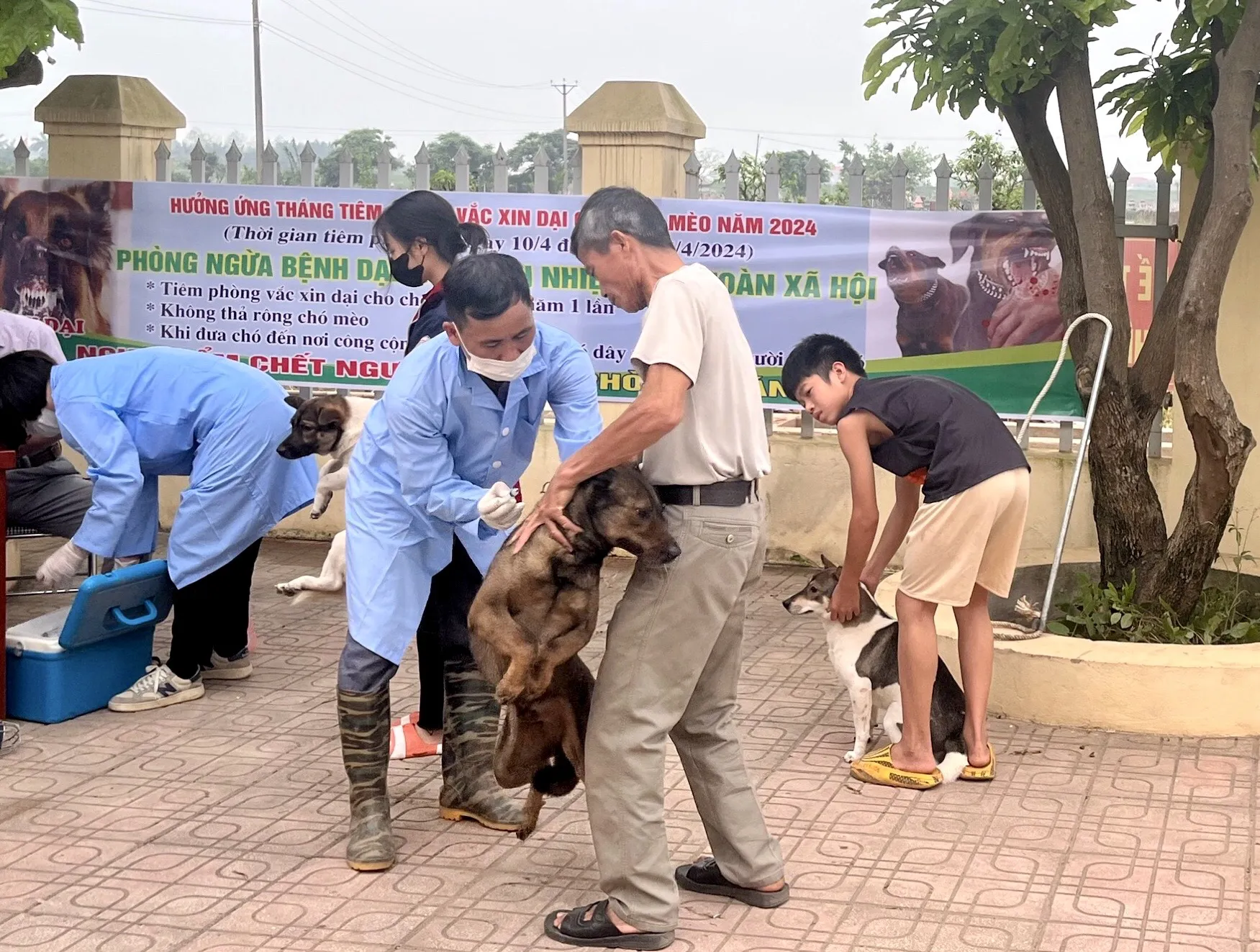 Hà Nội: không chủ quan với các nguy cơ từ bệnh dại