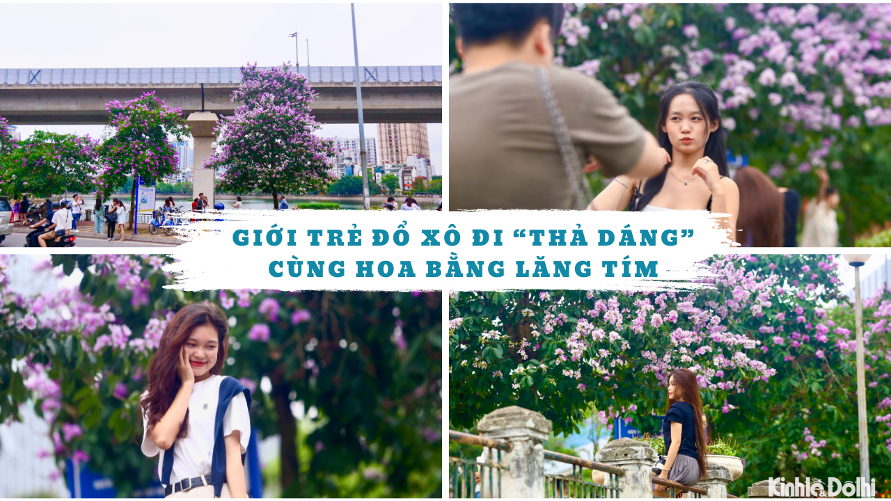 Giới trẻ đổ xô đi “thả dáng” cùng hoa bằng lăng trên phố Hoàng Cầu