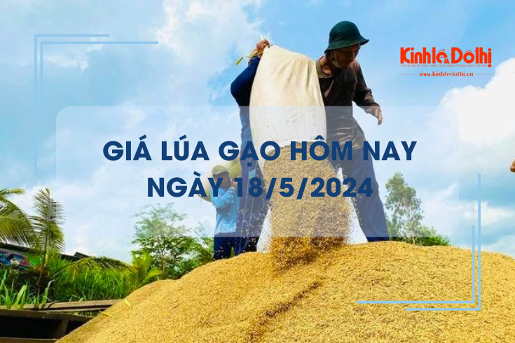 Giá lúa gạo hôm nay 18/5/2024: giá lúa tăng giảm trái chiều