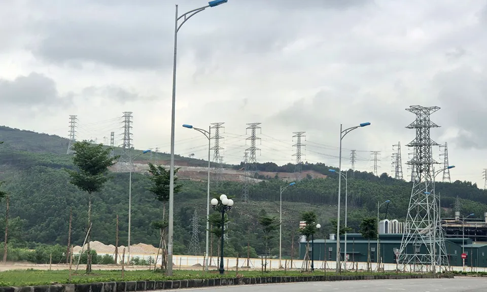 Thanh Hóa: xử phạt doanh nghiệp phá 2,61ha rừng tự nhiên