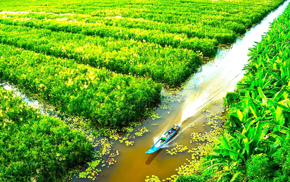Những khởi sắc mới dưới tán rừng U Minh hạ
