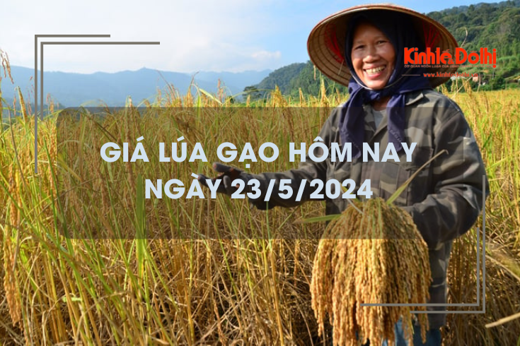 Giá lúa gạo hôm nay 23/5/2024: gạo đẹp chào bán cao