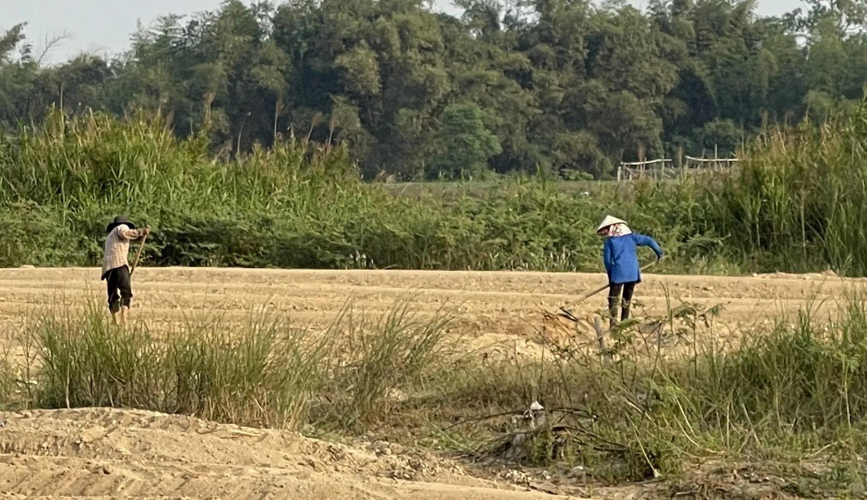 Quảng Ngãi: làm gì để "thúc" cơ giới hóa trong nông nghiệp?