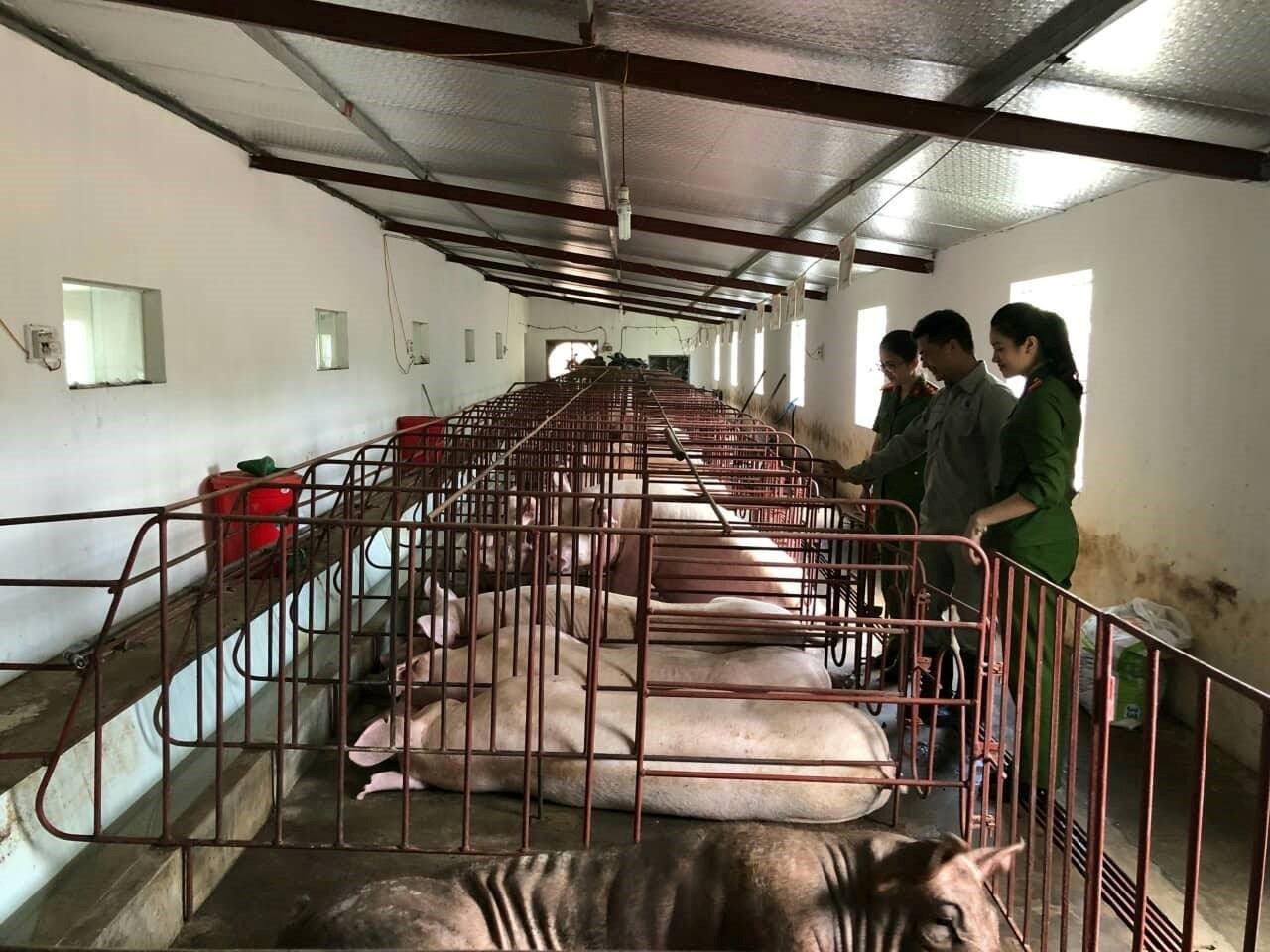 Quảng Ninh xử lý nghiêm hành vi làm lây lan dịch bệnh động vật