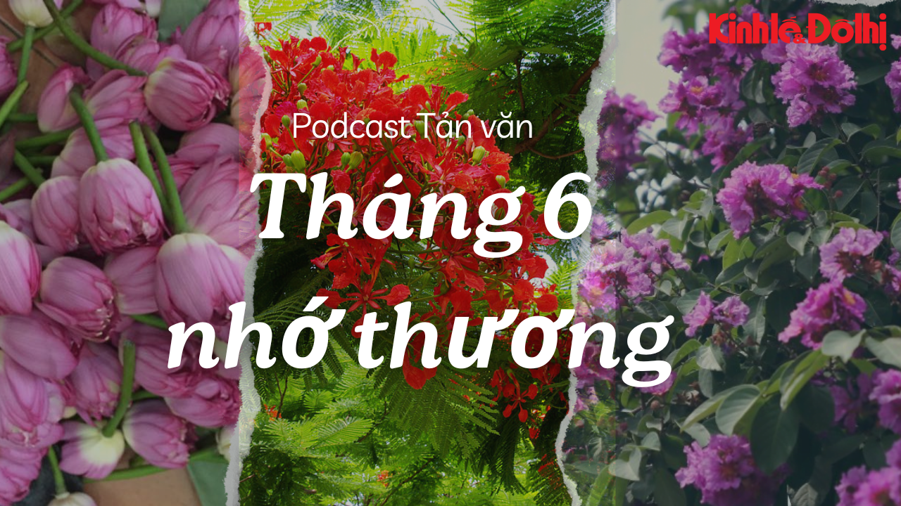 Tháng 6 nhớ thương 