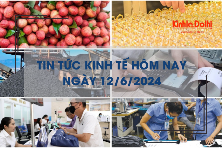 Tin tức kinh tế ngày 12/6/2024: giá vải thiều Lục Ngạn cao nhất từ trước đến nay