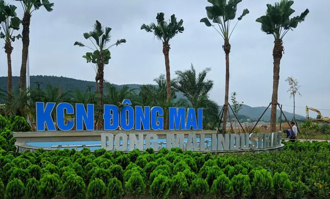 Quảng Ninh: nhiều công nhân bị ngạt khí ga