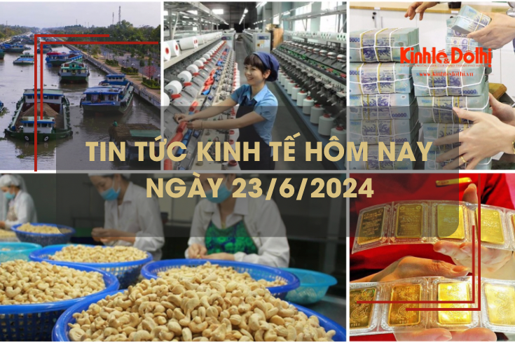 Tin tức kinh tế ngày 23/6/2024: thị trường Anh tăng mua hạt điều từ Việt Nam