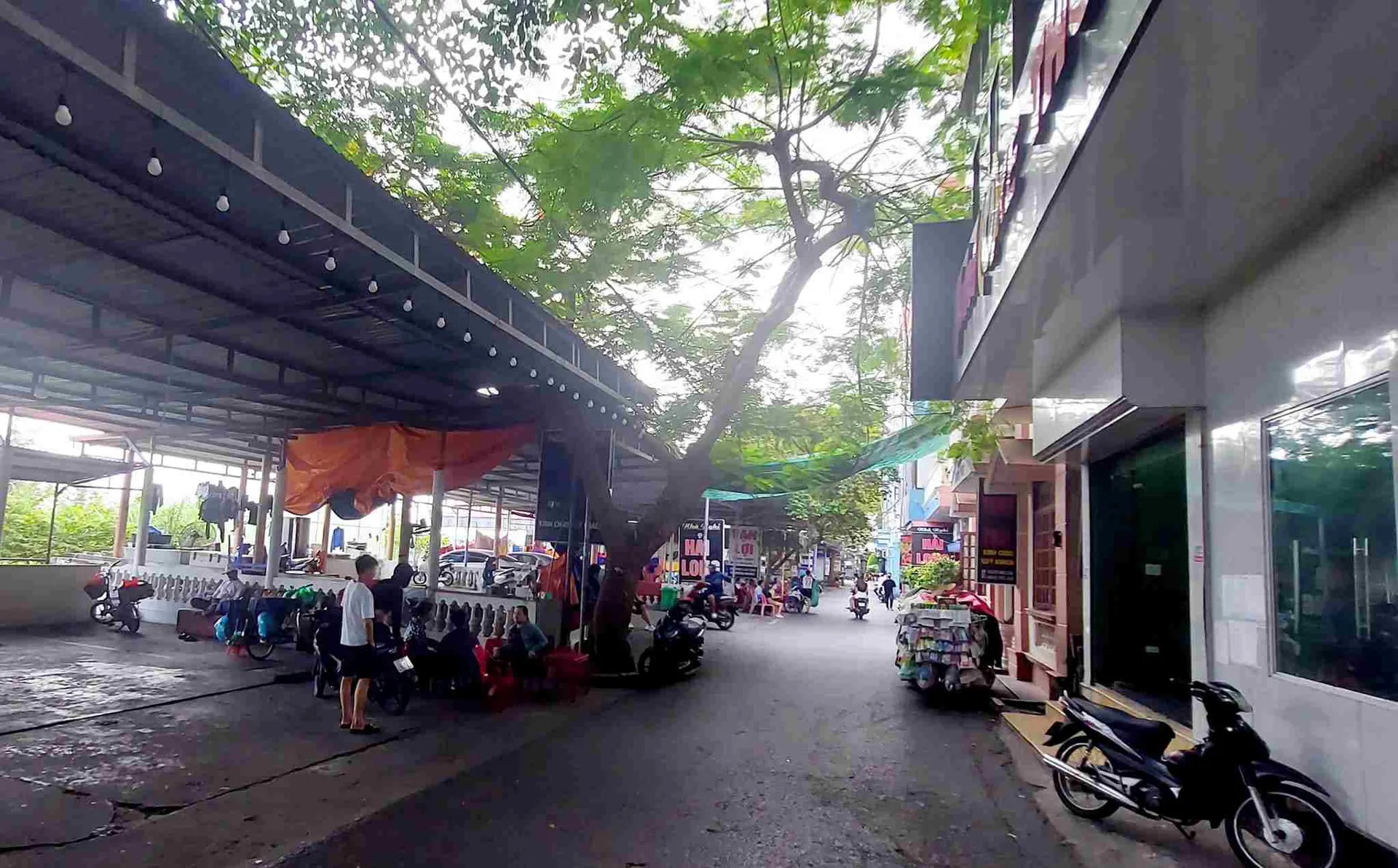 Hải Phòng: sẽ thực hiện cưỡng chế 27 cơ sở nếu không bàn giao mặt bằng